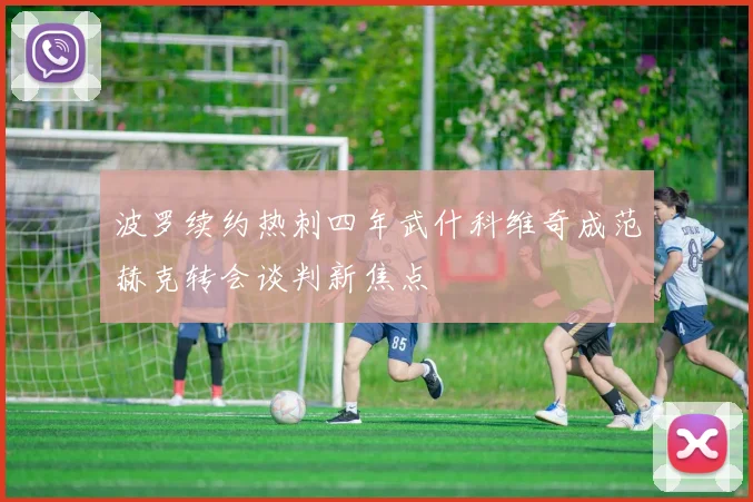 波罗续约热刺四年武什科维奇成范赫克转会谈判新焦点